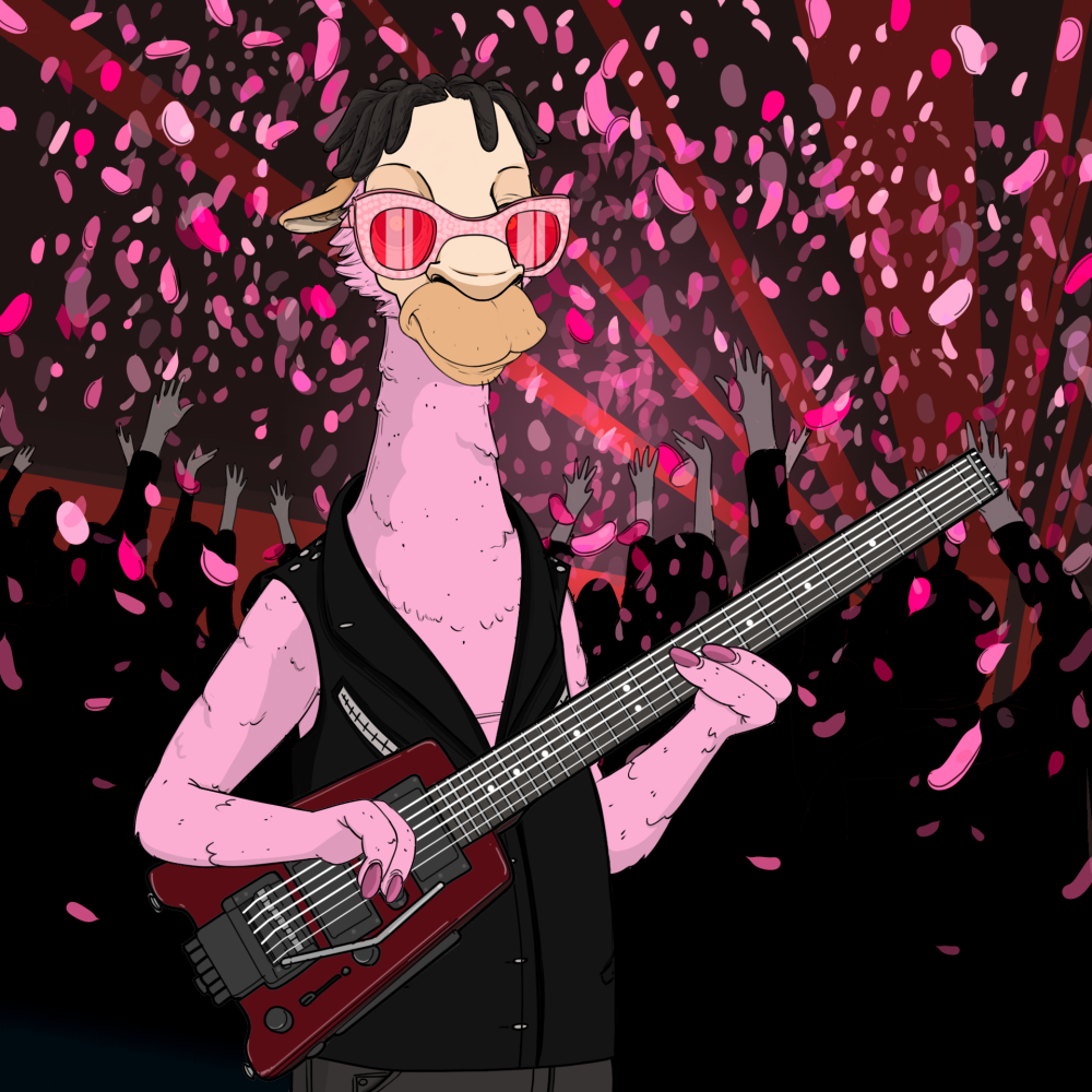 Jammin' Alpacas #6373