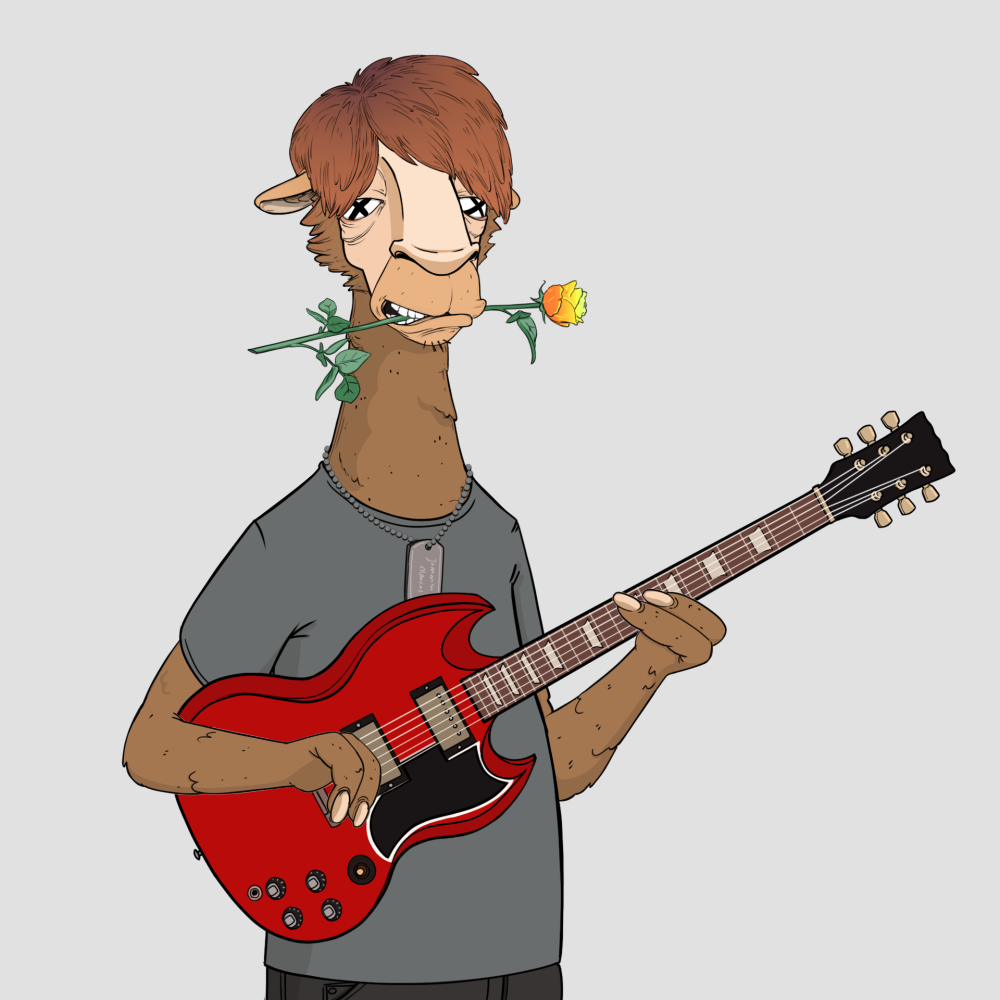 Jammin' Alpacas #6382