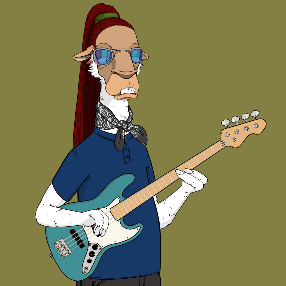 Jammin' Alpacas #6433