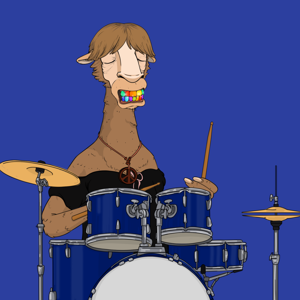 Jammin' Alpacas #6443