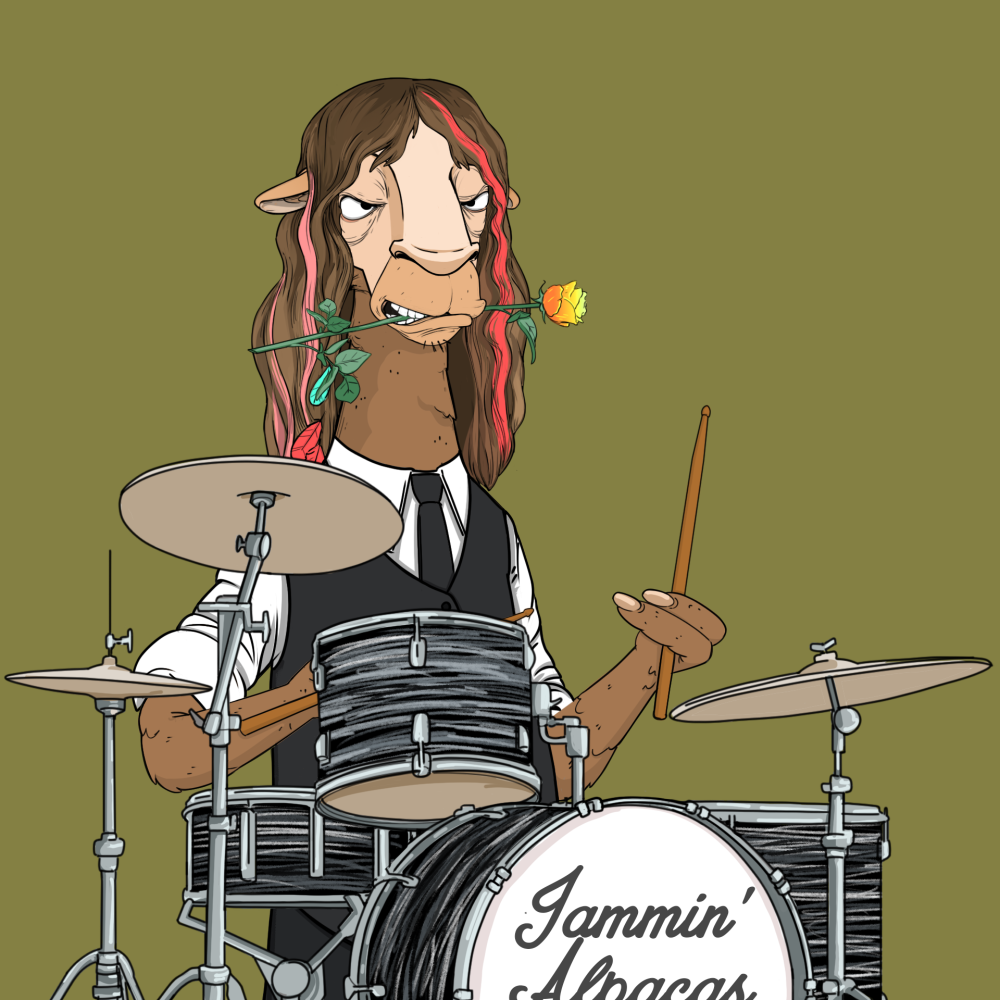Jammin' Alpacas #6516
