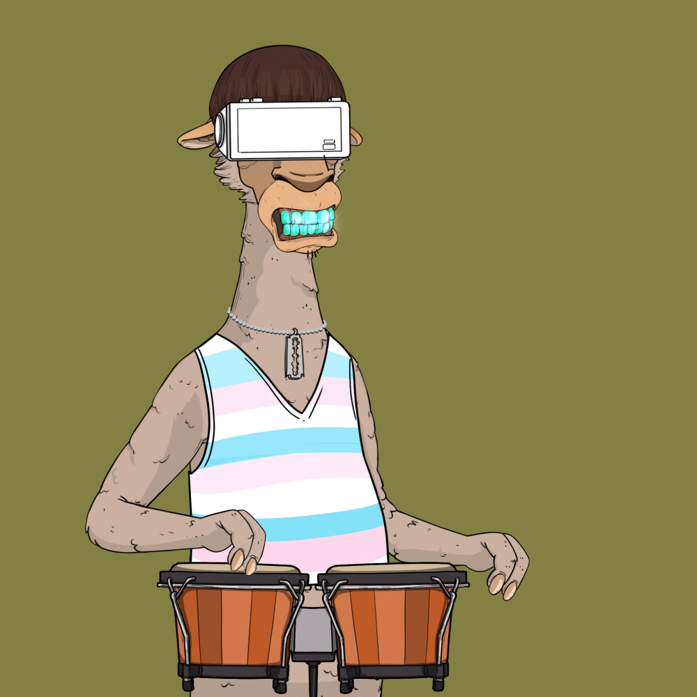 Jammin' Alpacas #6523