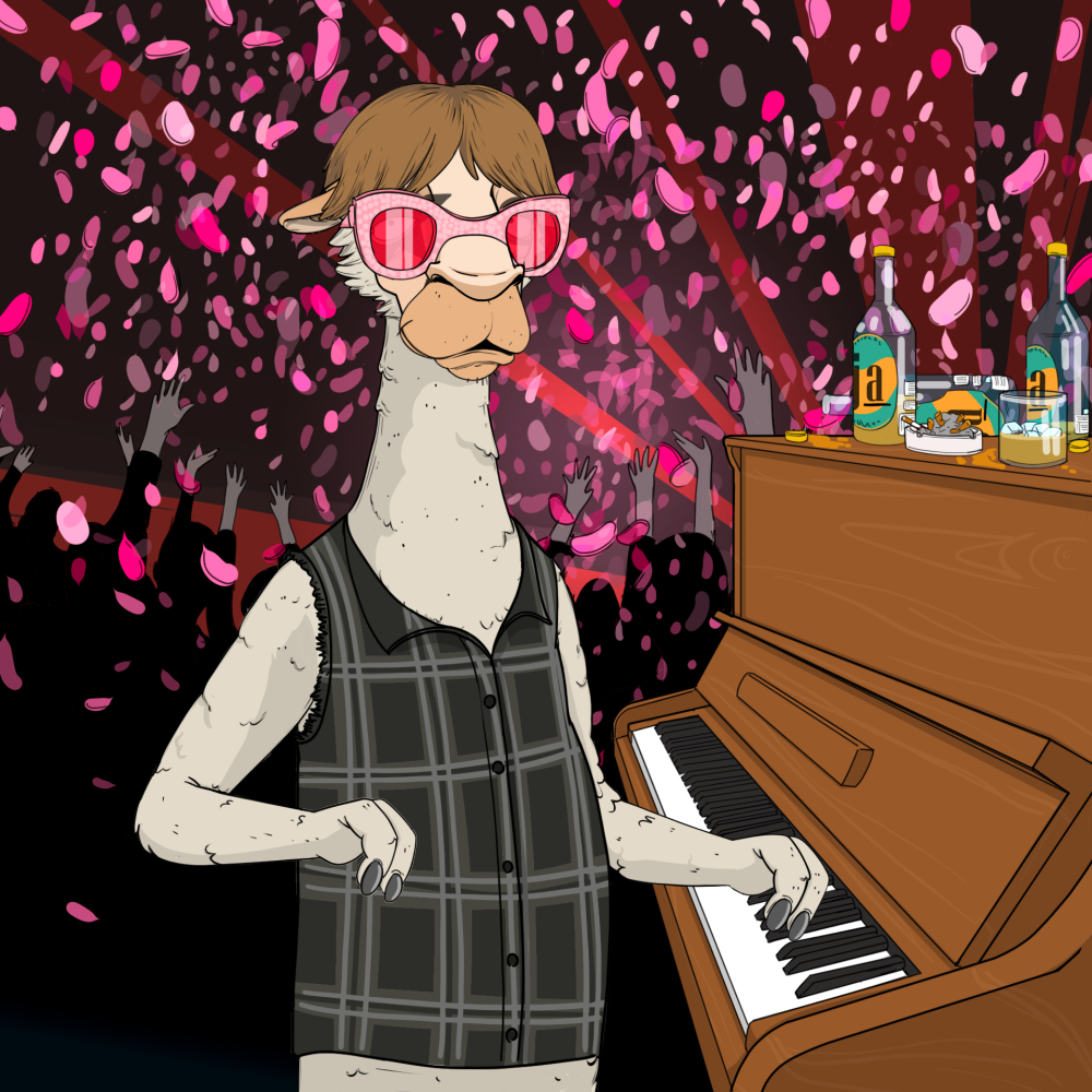 Jammin' Alpacas #6524