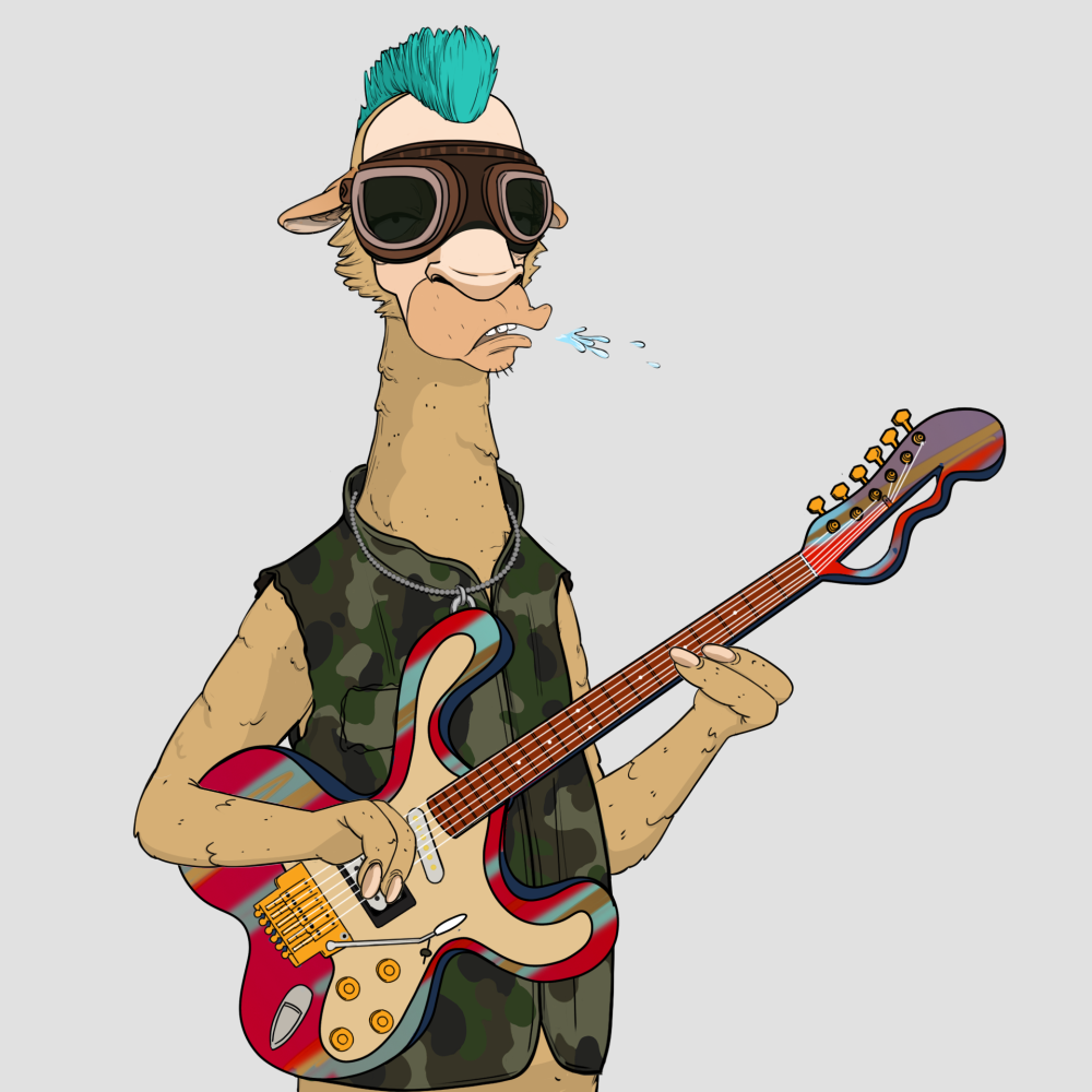 Jammin' Alpacas #6526