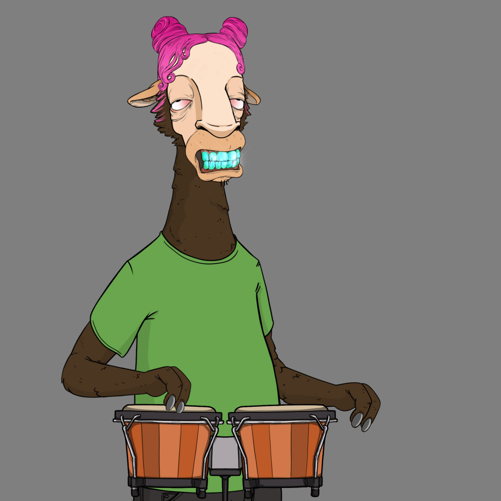 Jammin' Alpacas #6527