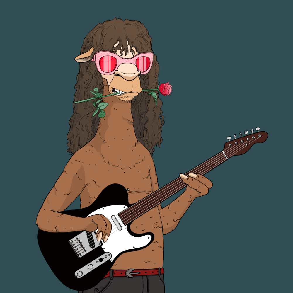 Jammin' Alpacas #6542