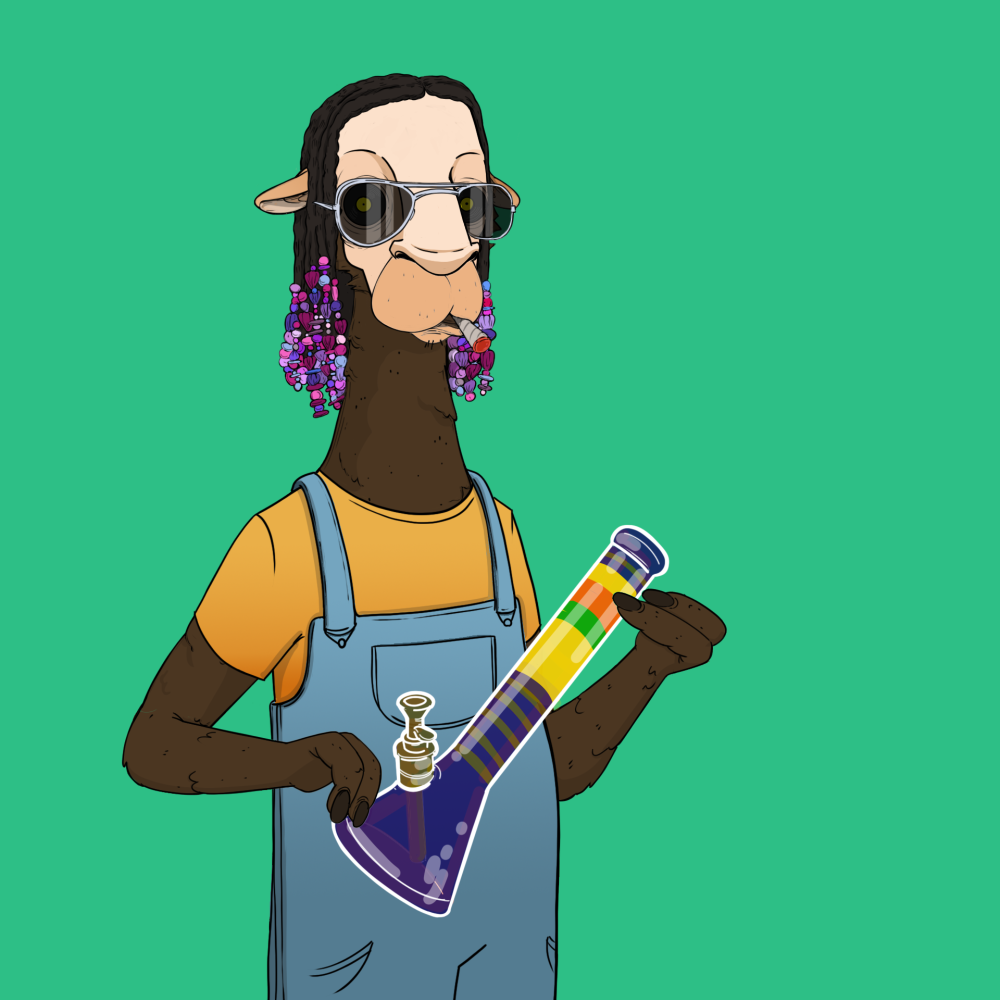Jammin' Alpacas #6554