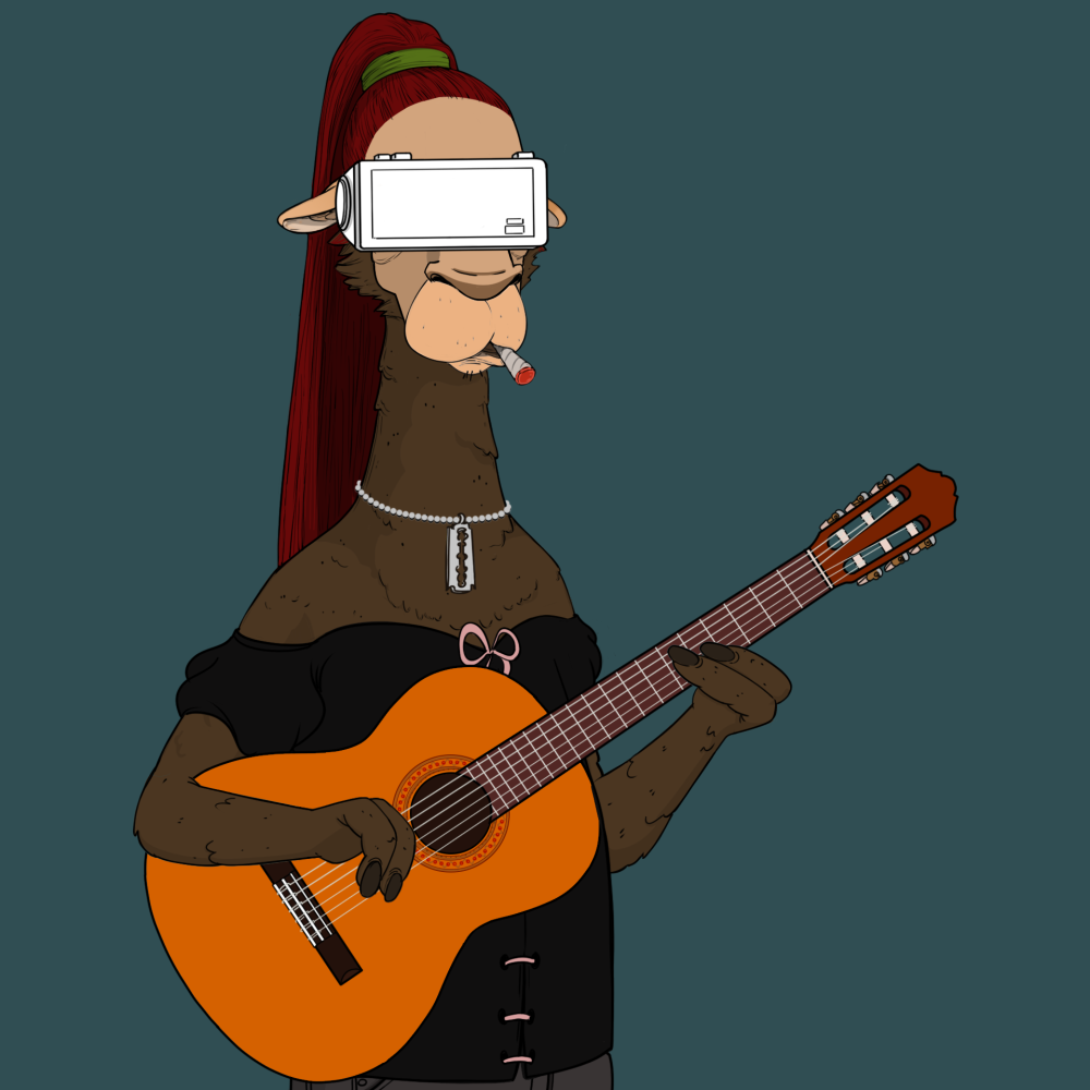 Jammin' Alpacas #6558