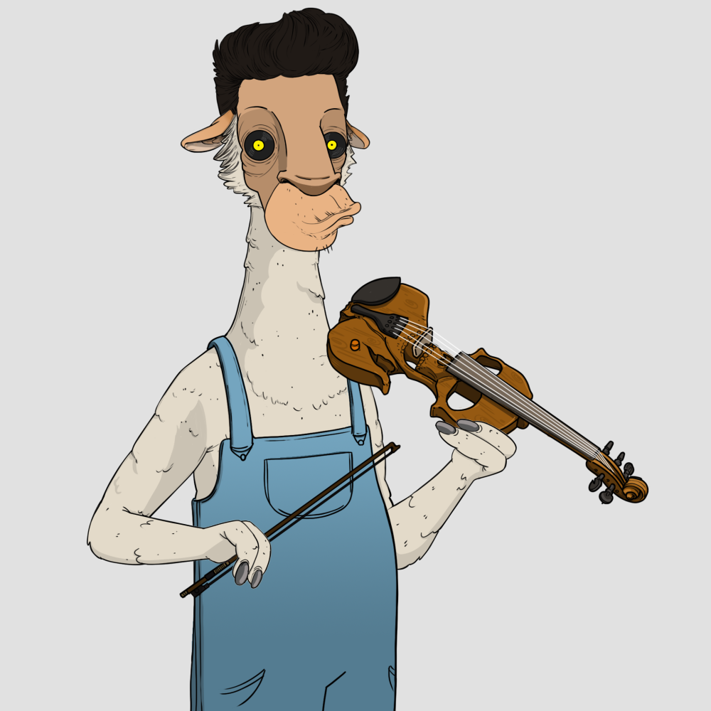 Jammin' Alpacas #6567