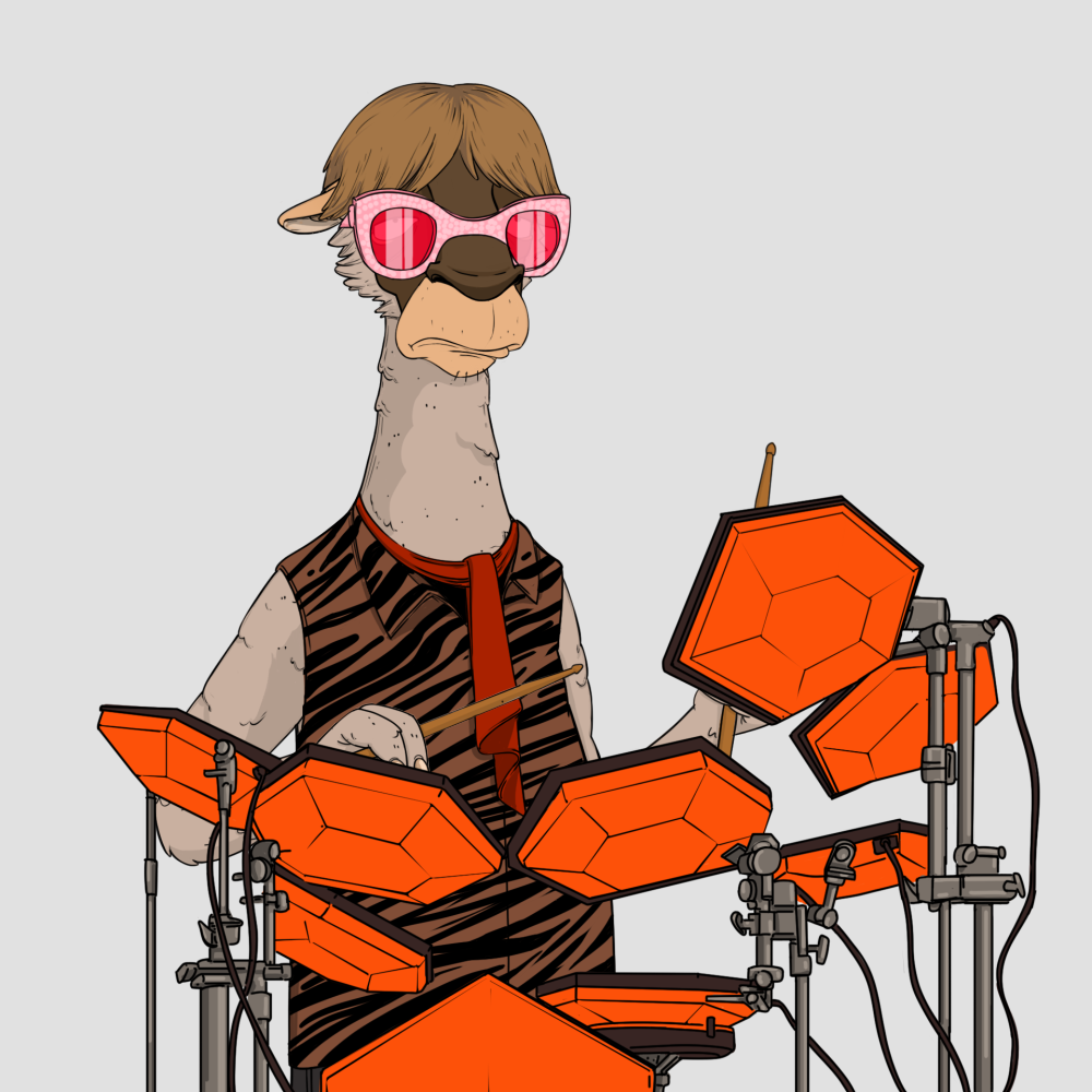 Jammin' Alpacas #6584