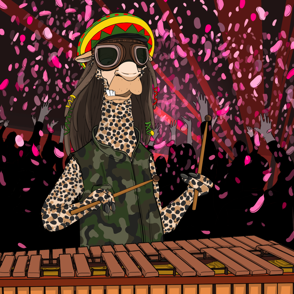Jammin' Alpacas #6596