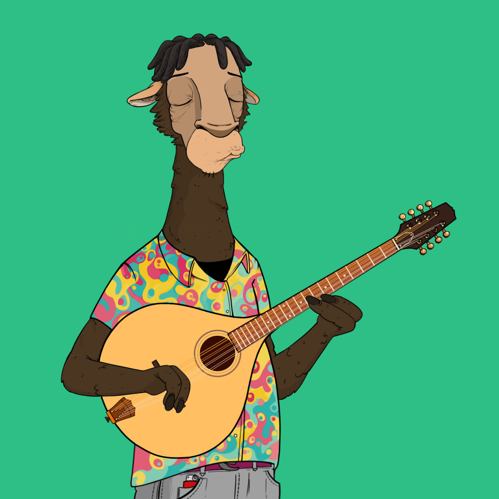 Jammin' Alpacas #6643