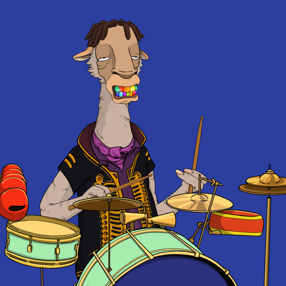 Jammin' Alpacas #6648
