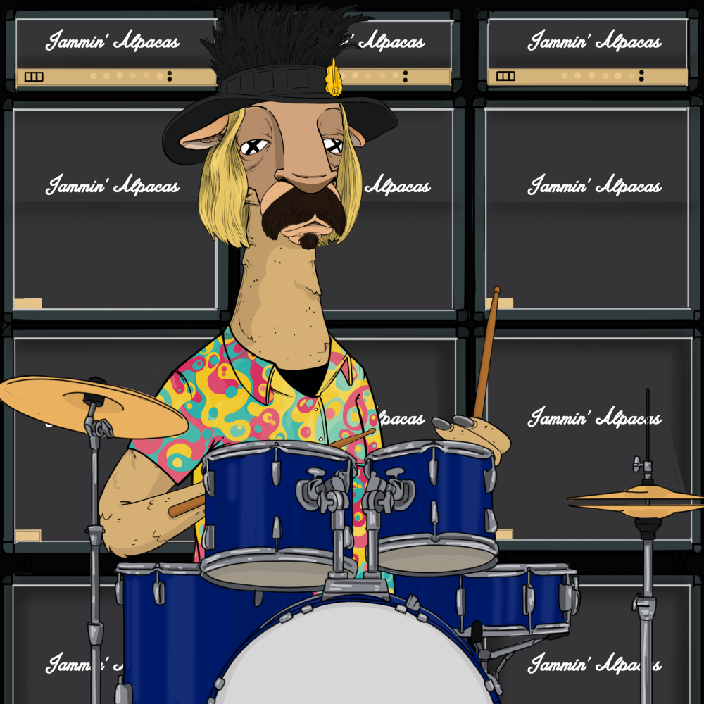 Jammin' Alpacas #6650