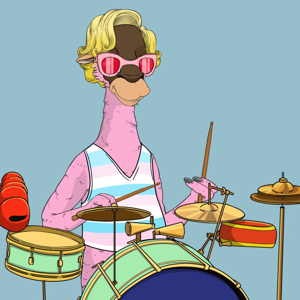 Jammin' Alpacas #6665