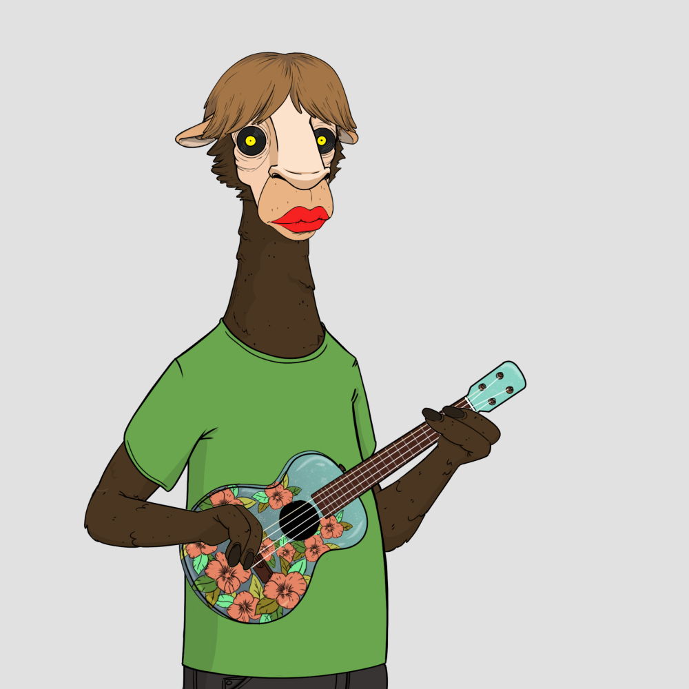 Jammin' Alpacas #6682
