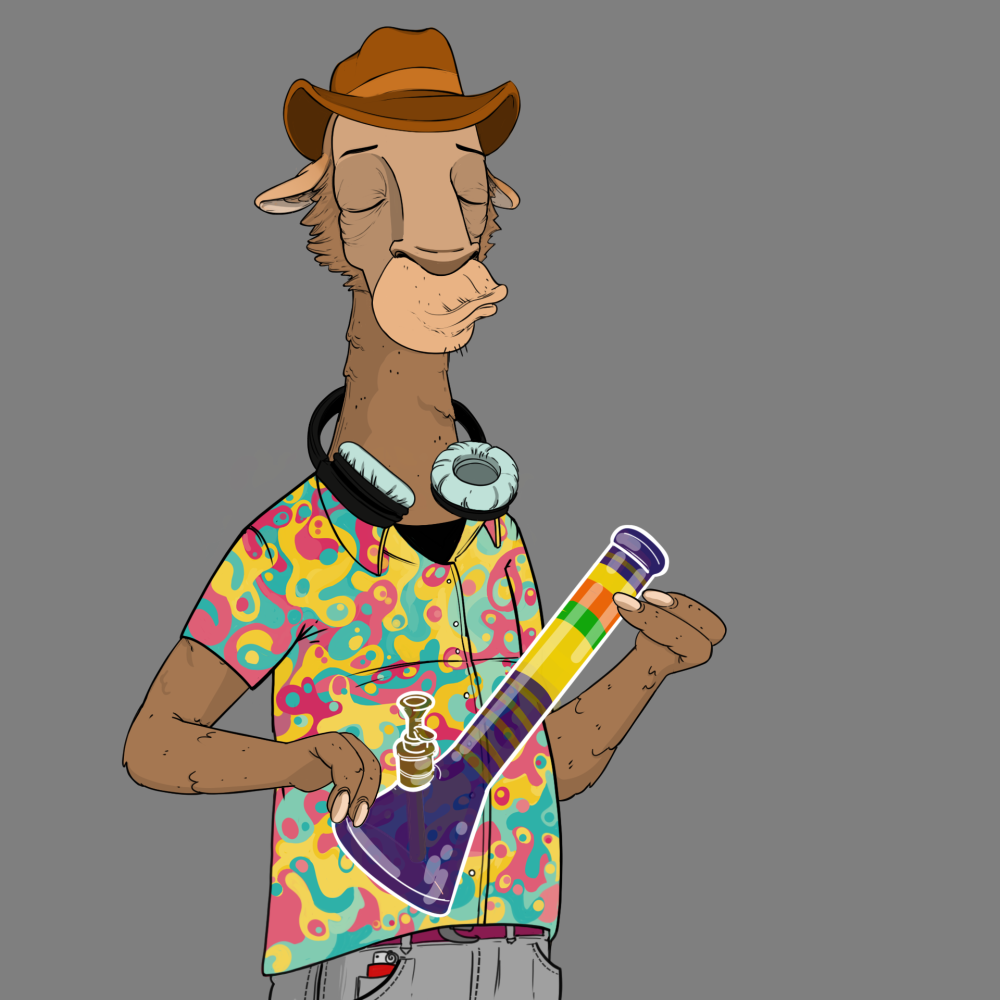 Jammin' Alpacas #6686