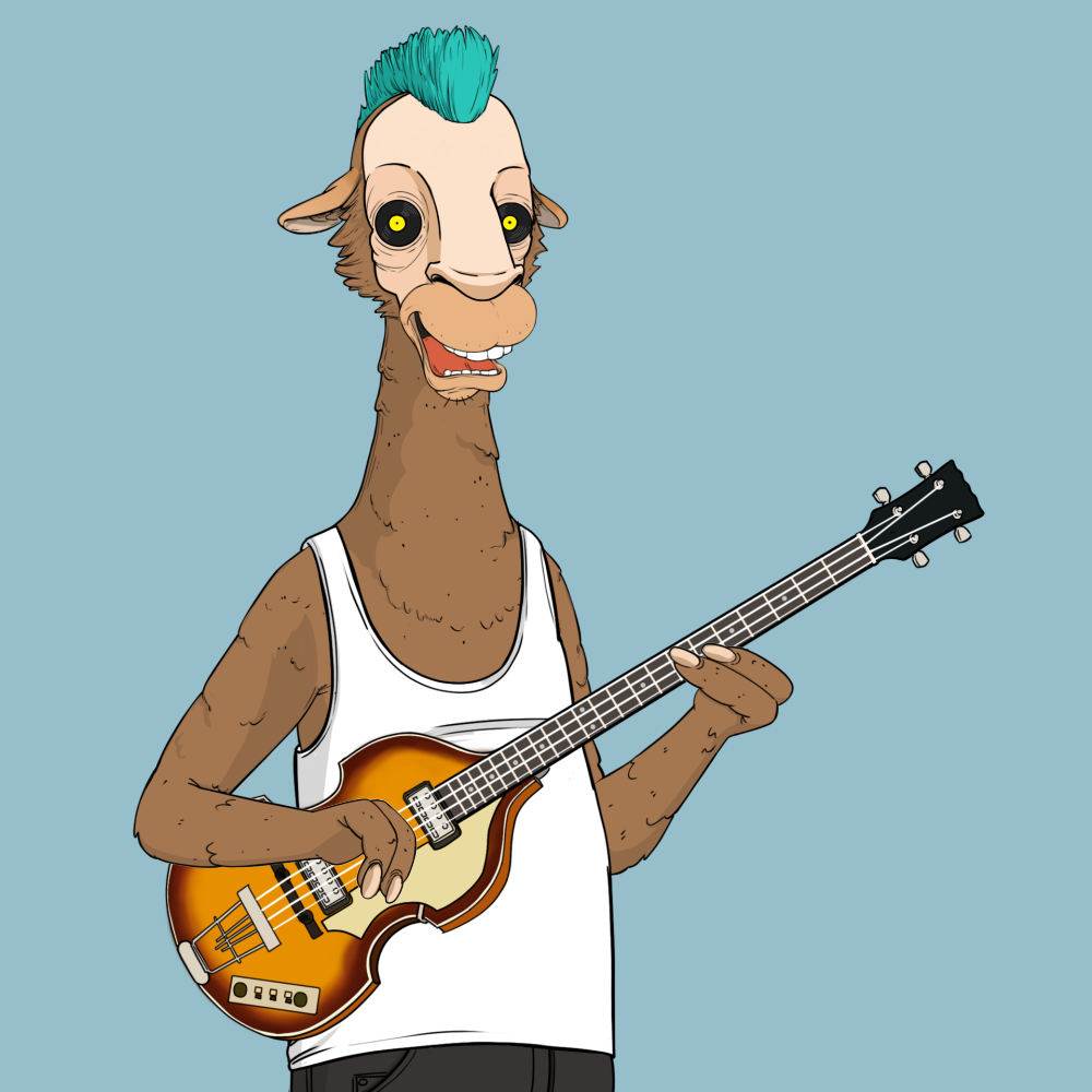 Jammin' Alpacas #6693