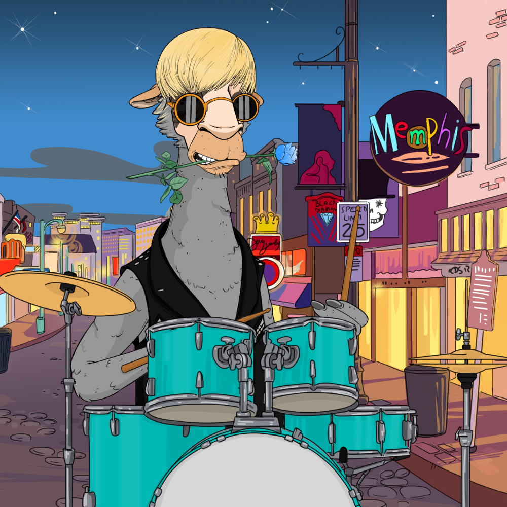 Jammin' Alpacas #6695