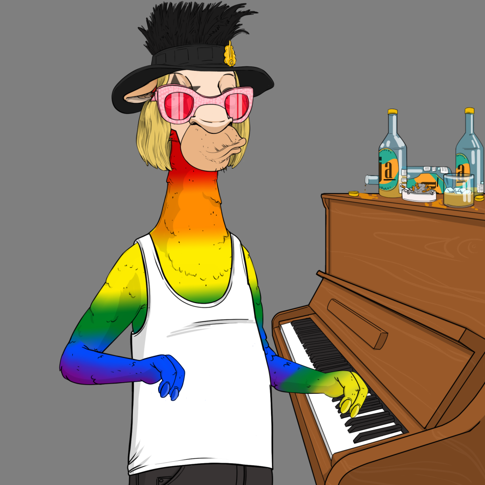 Jammin' Alpacas #6698