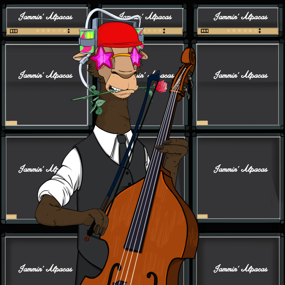 Jammin' Alpacas #6715