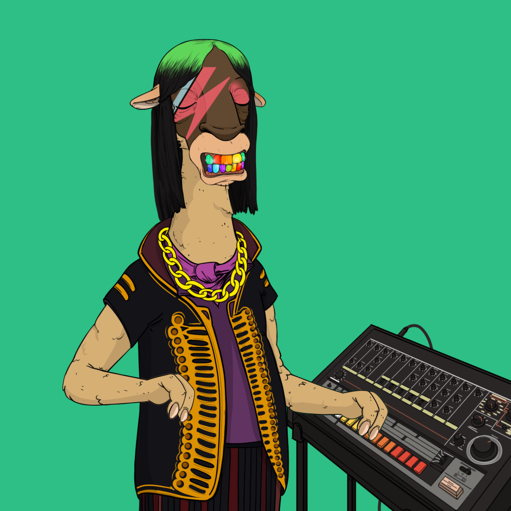Jammin' Alpacas #6724