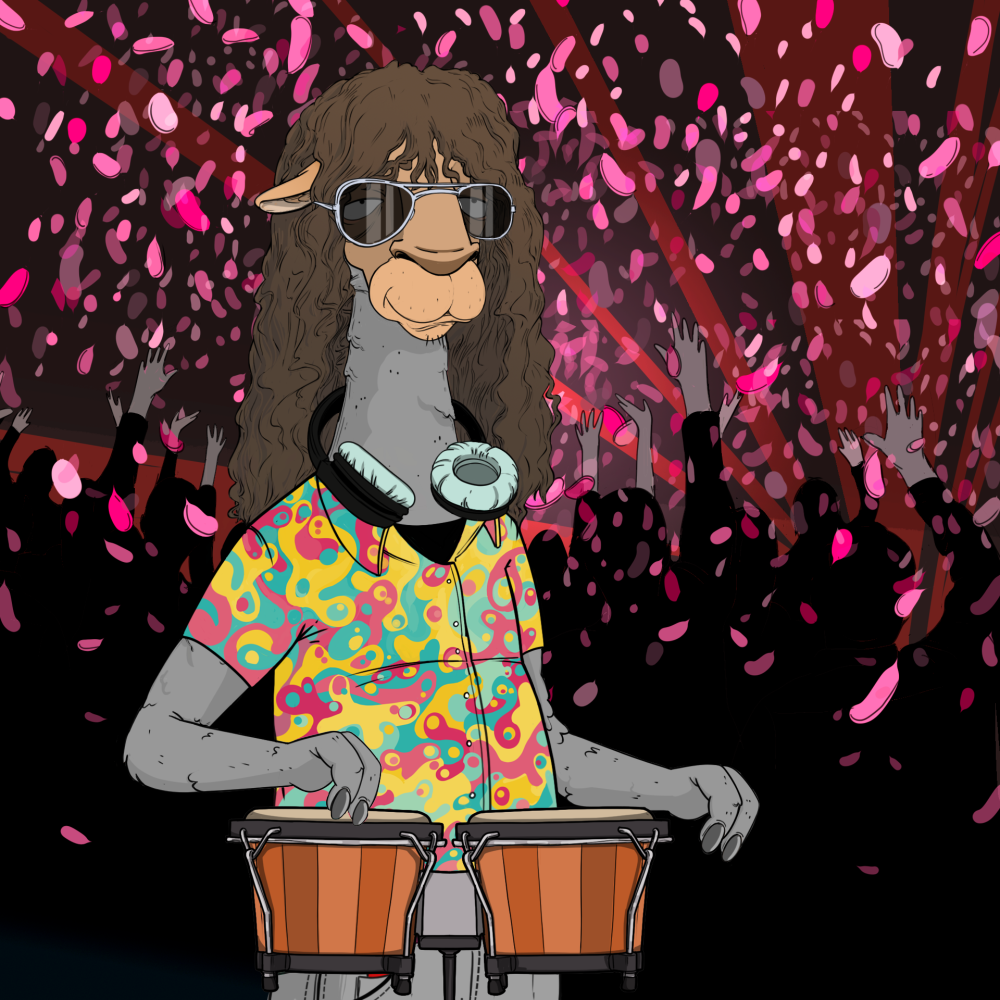 Jammin' Alpacas #6731
