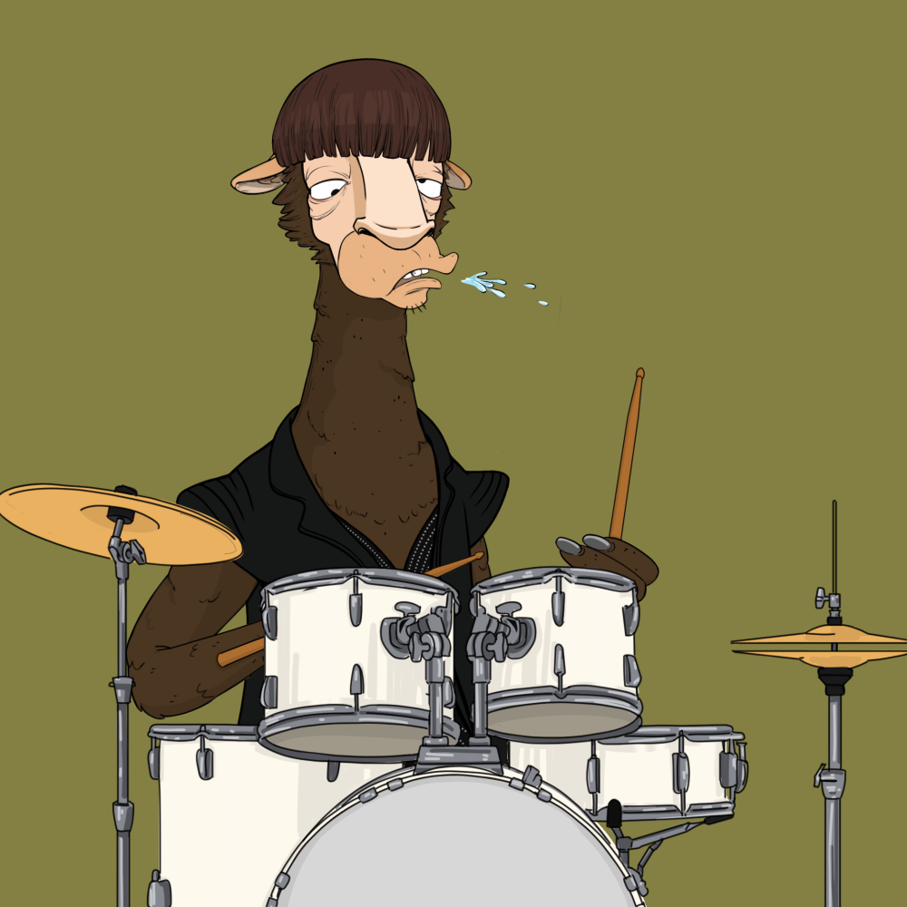Jammin' Alpacas #6742