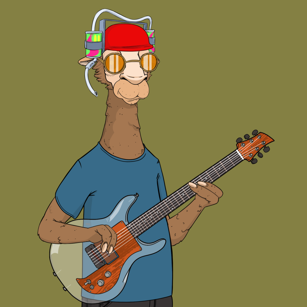Jammin' Alpacas #6768