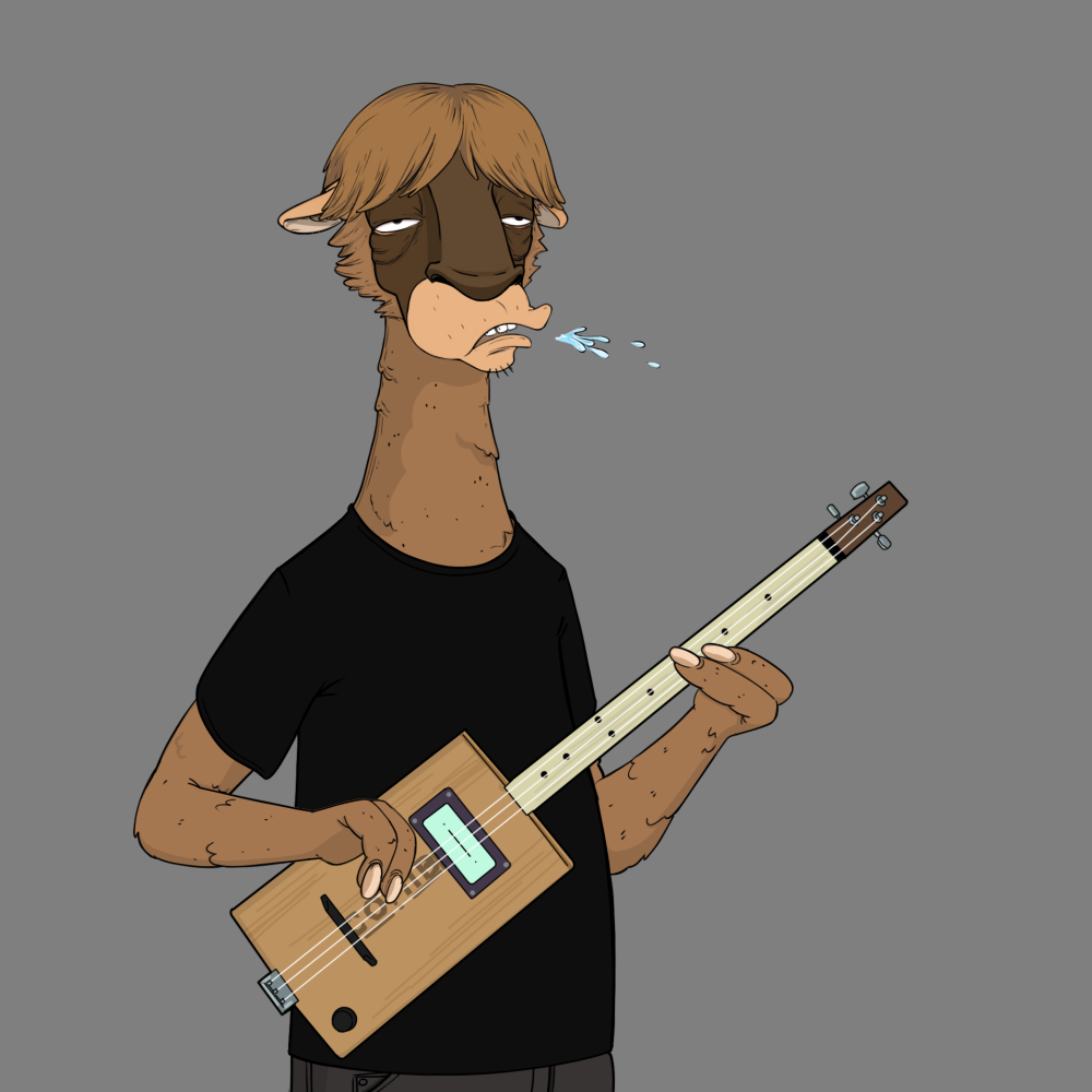 Jammin' Alpacas #6772