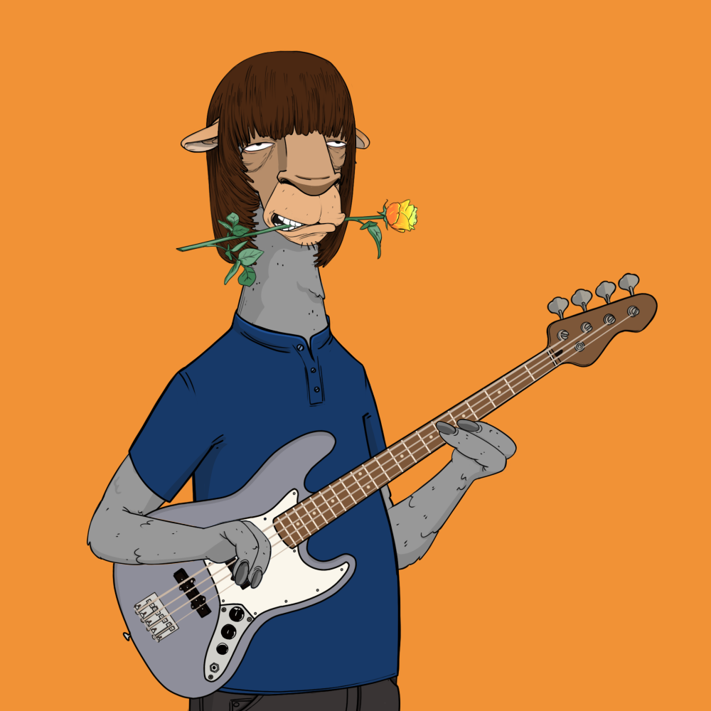 Jammin' Alpacas #6776