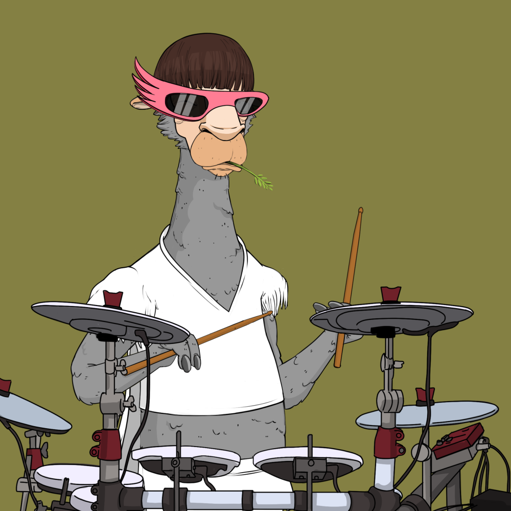 Jammin' Alpacas #6813
