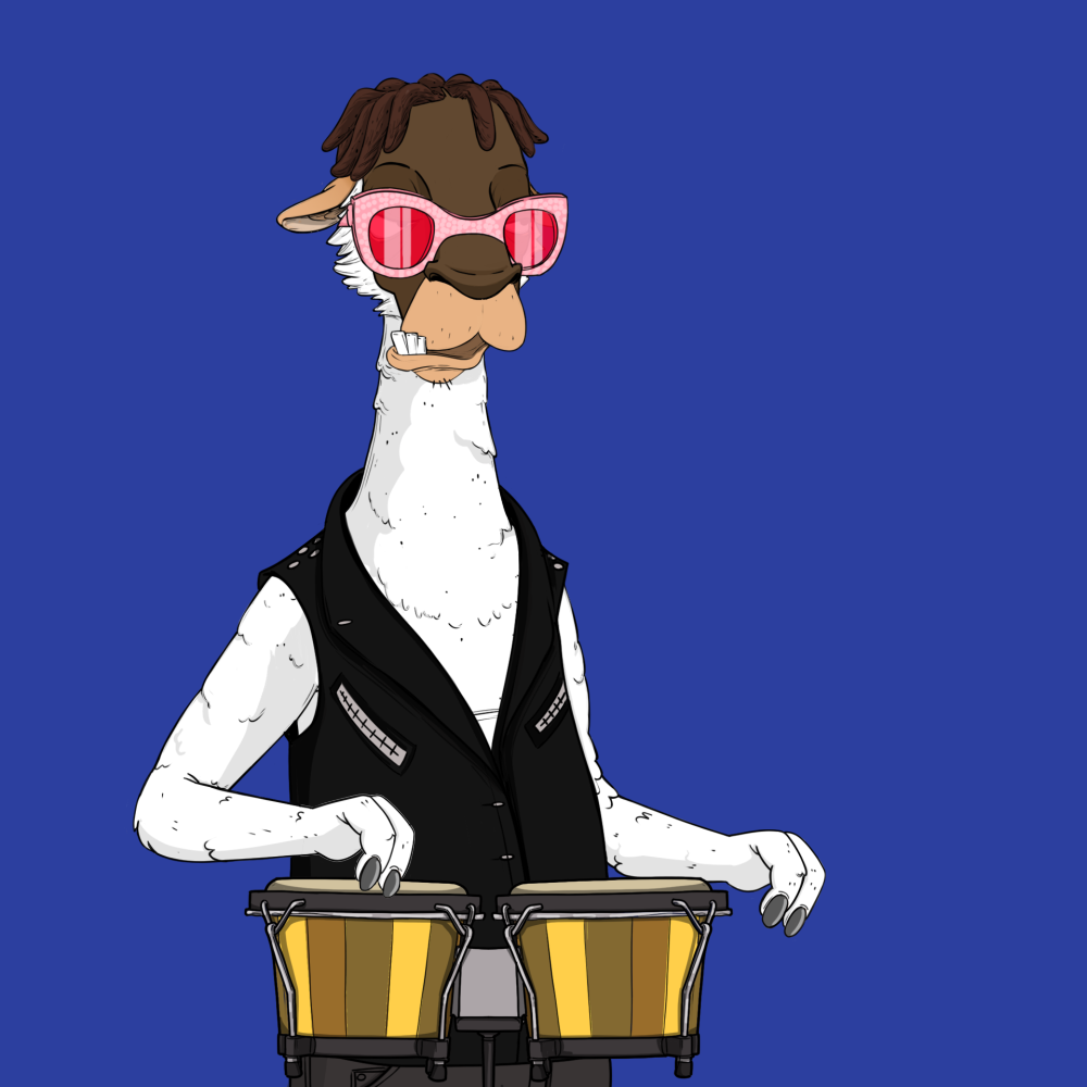 Jammin' Alpacas #6823