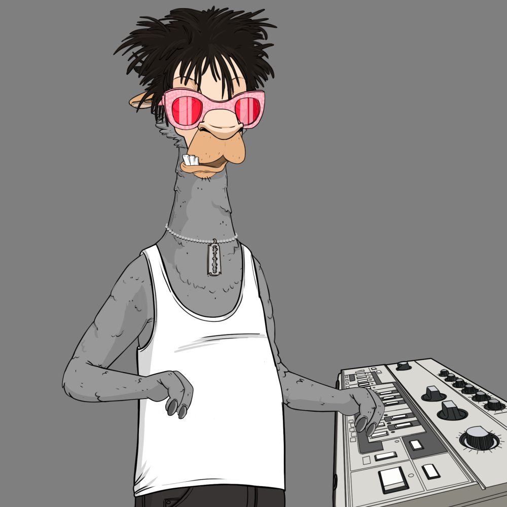 Jammin' Alpacas #6859