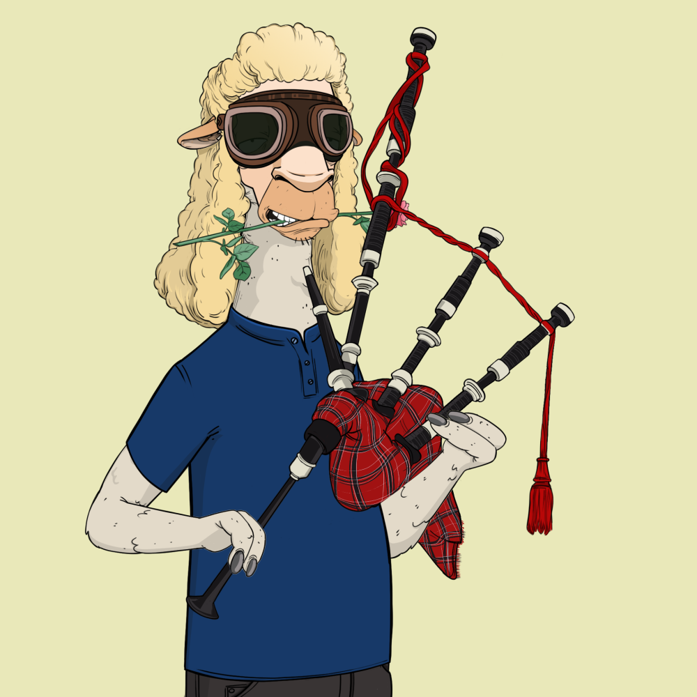 Jammin' Alpacas #6883