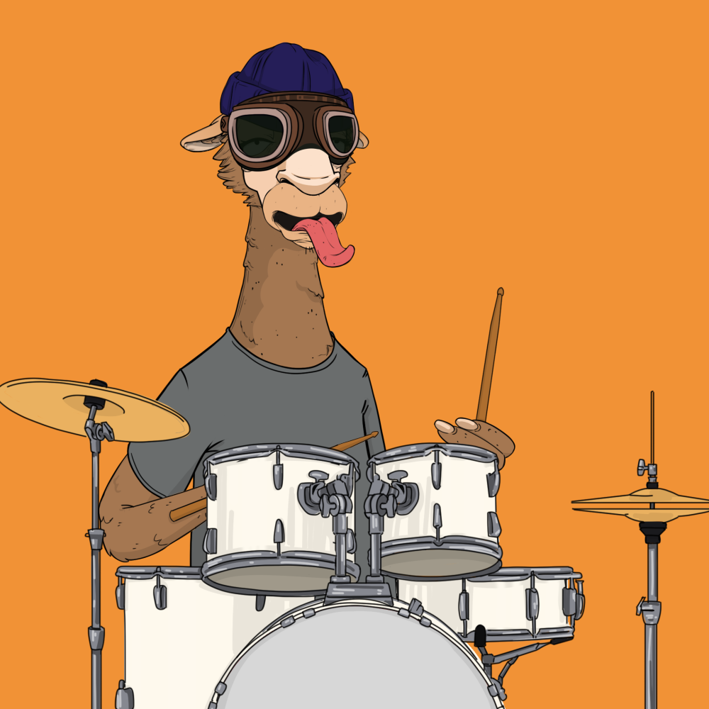 Jammin' Alpacas #6911