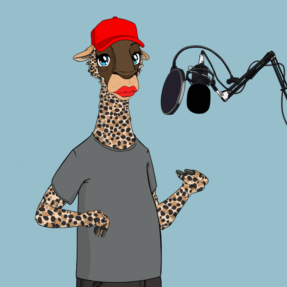 Jammin' Alpacas #6912