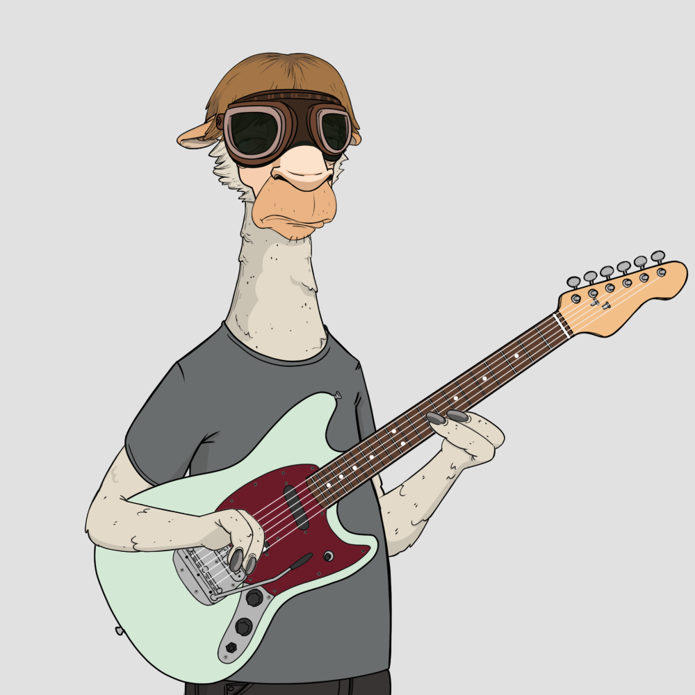 Jammin' Alpacas #6933