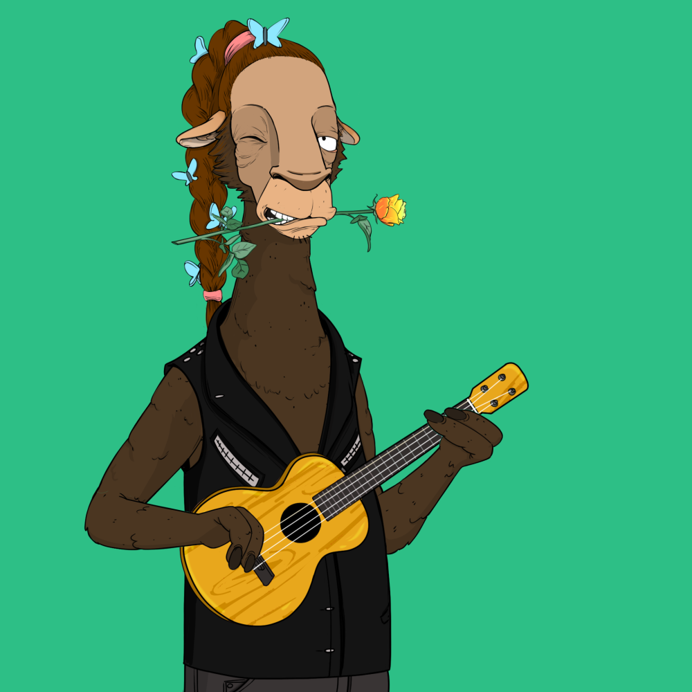 Jammin' Alpacas #6937