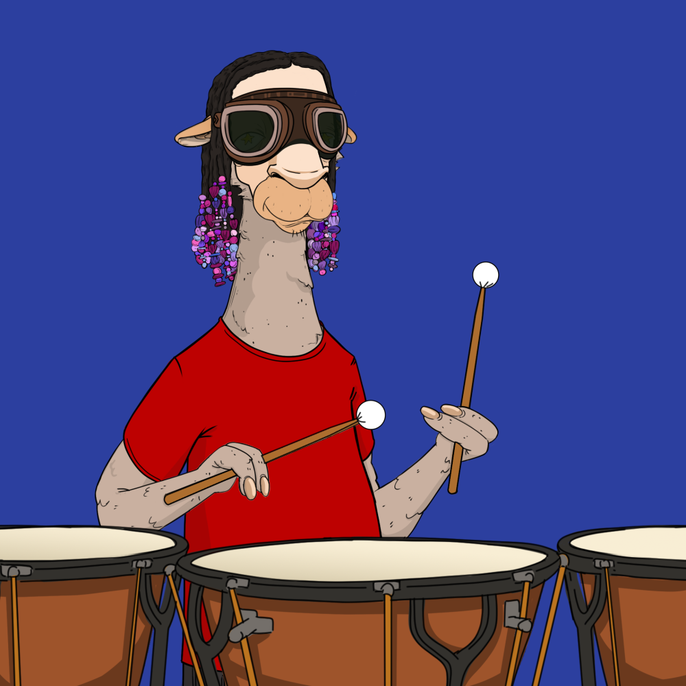Jammin' Alpacas #6946