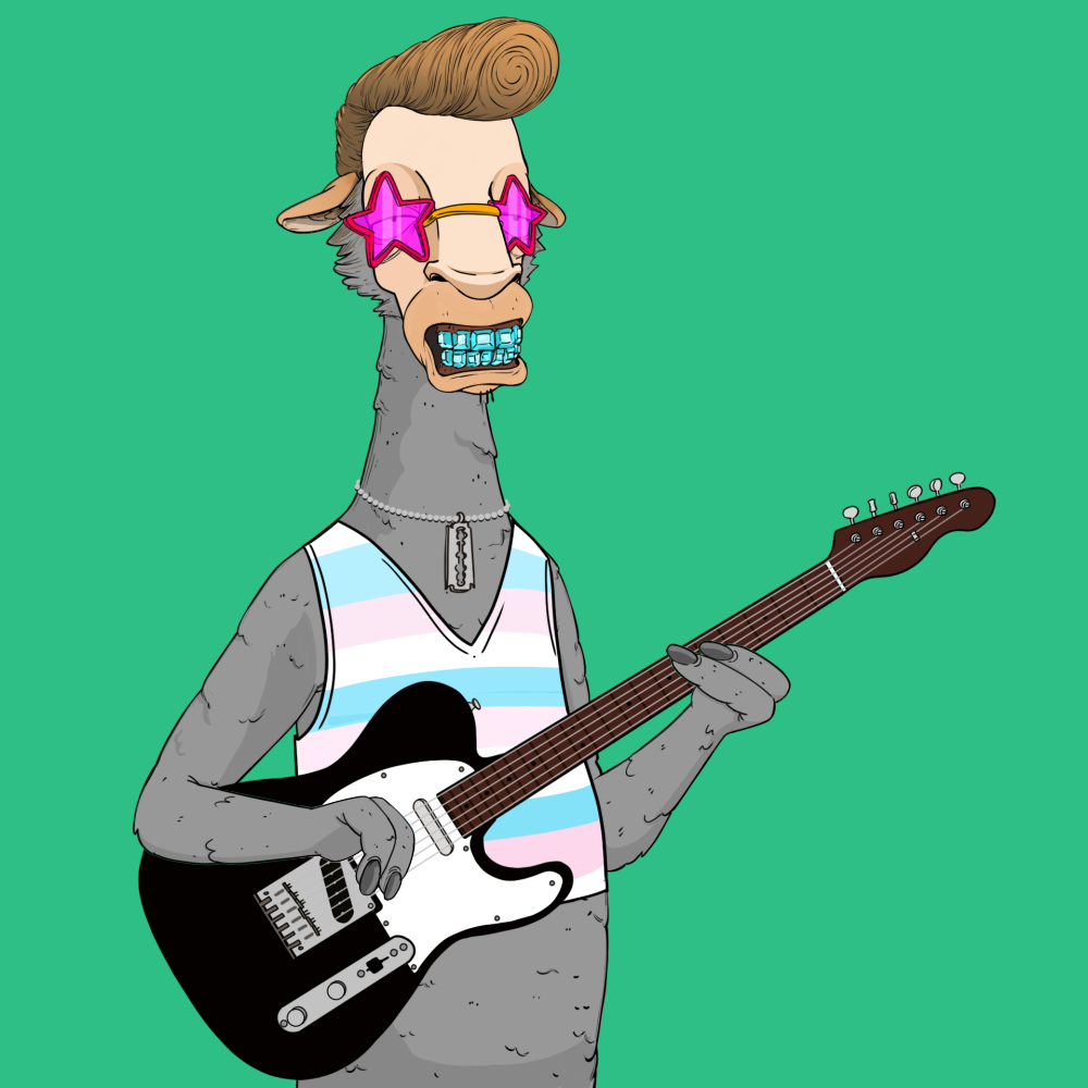 Jammin' Alpacas #6951