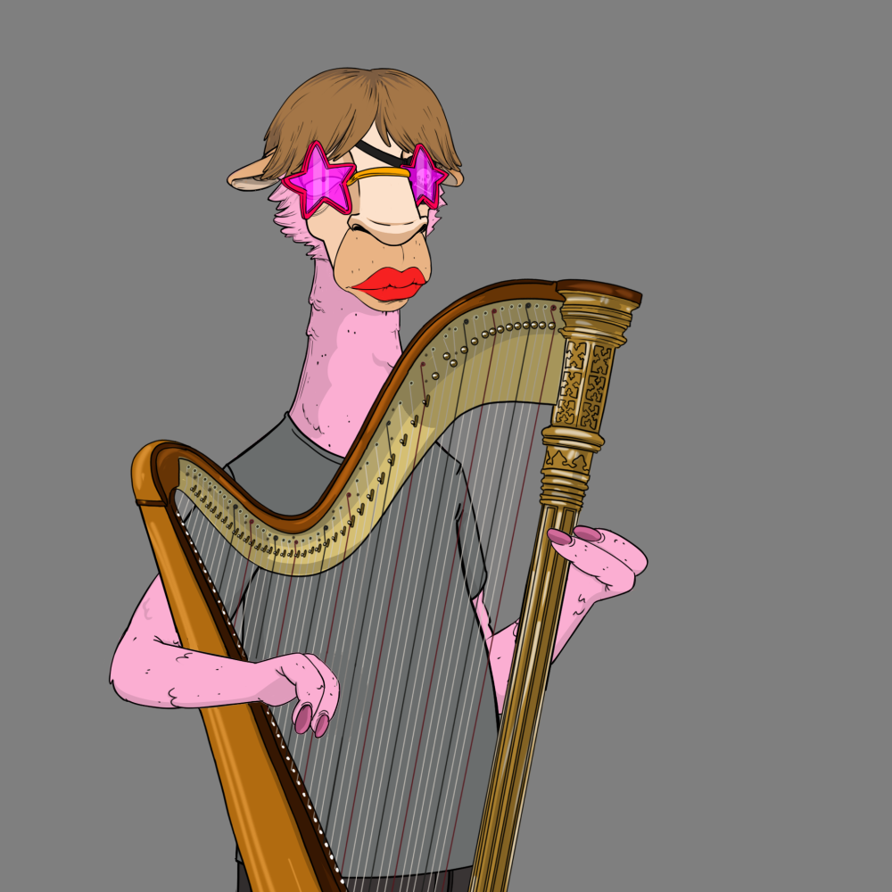 Jammin' Alpacas #6952