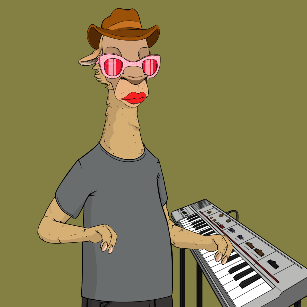 Jammin' Alpacas