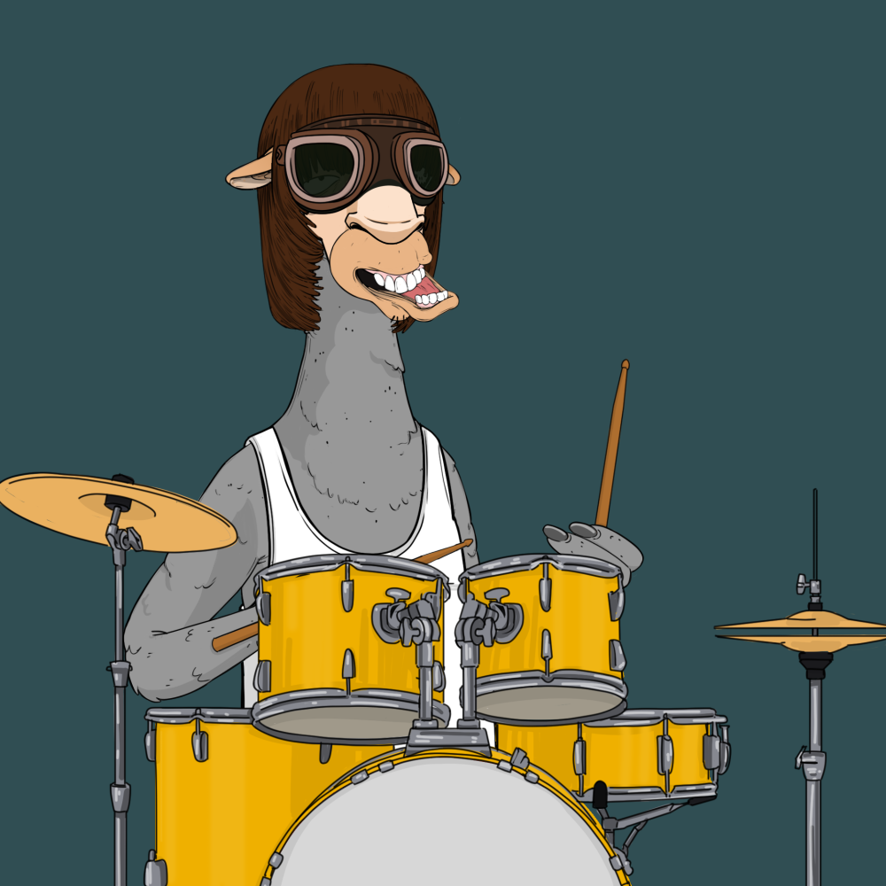 Jammin' Alpacas #7037