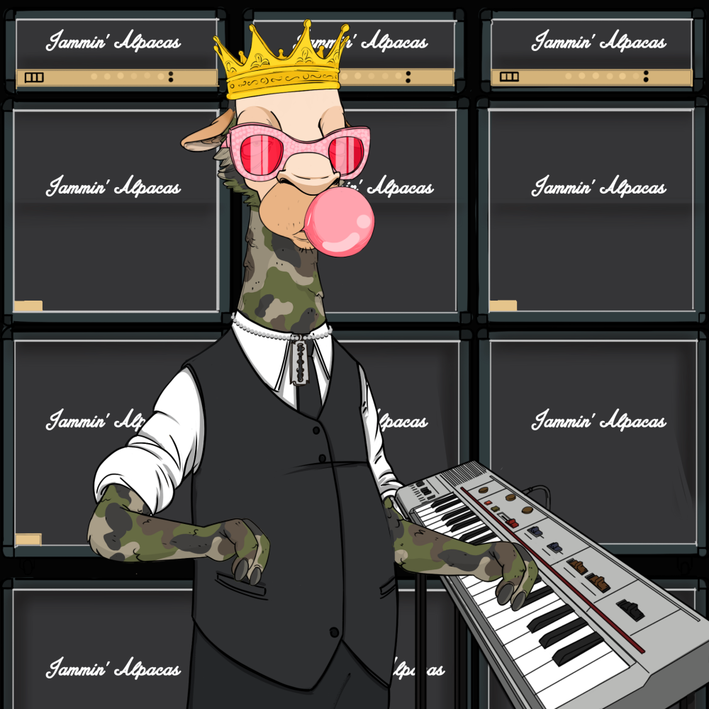Jammin' Alpacas #7069