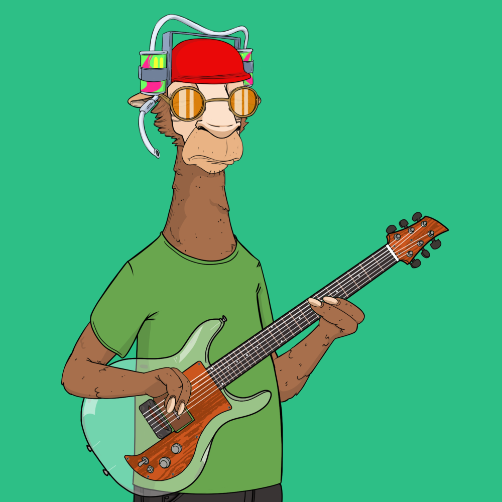 Jammin' Alpacas #7092