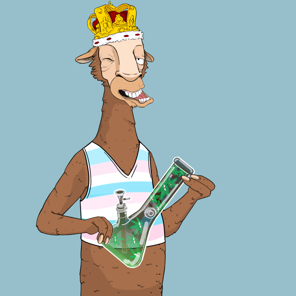 Jammin' Alpacas #7144