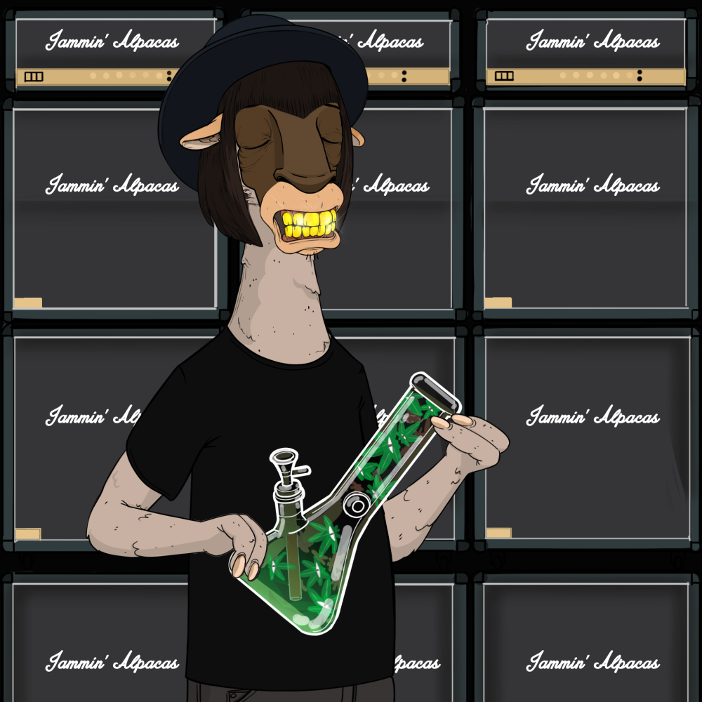 Jammin' Alpacas #7194