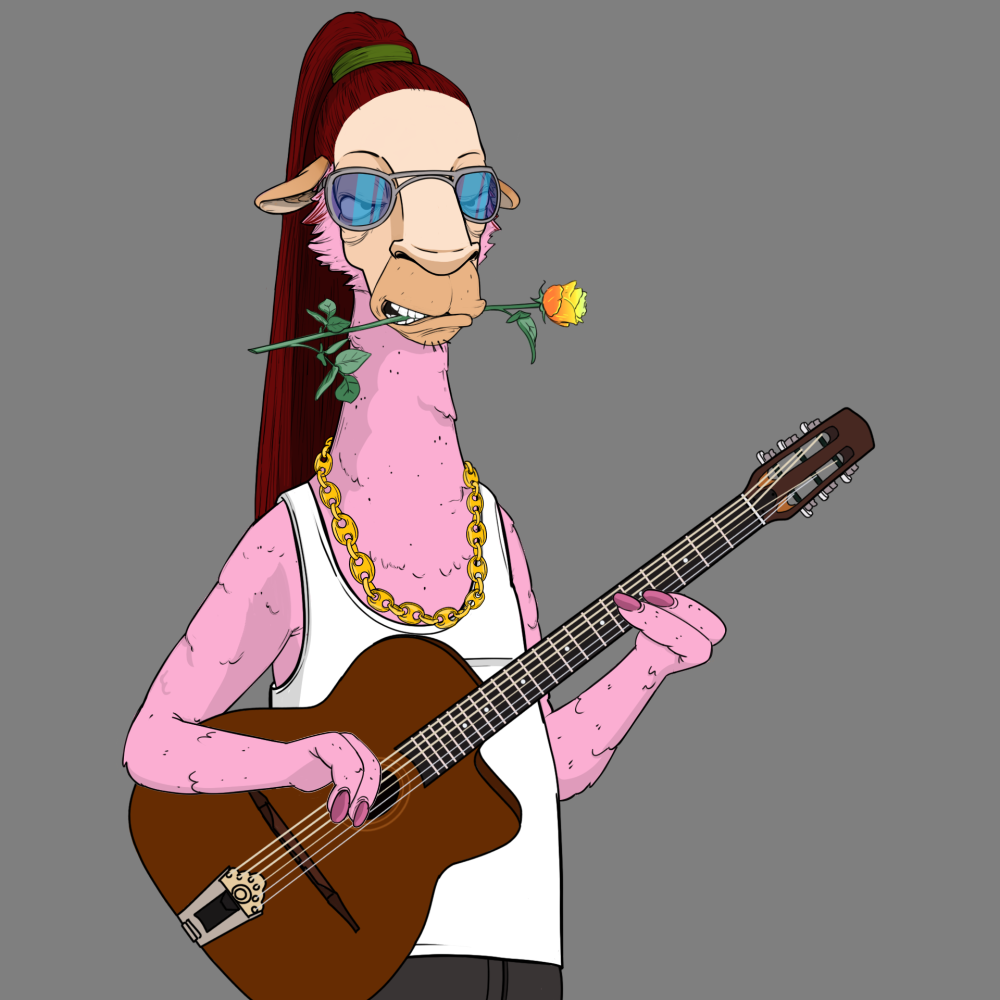Jammin' Alpacas #7374