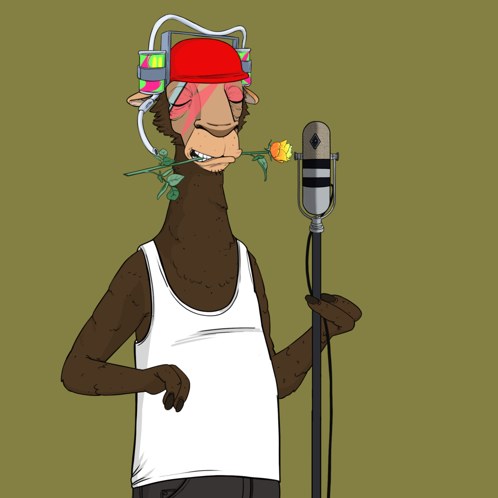 Jammin' Alpacas #7404